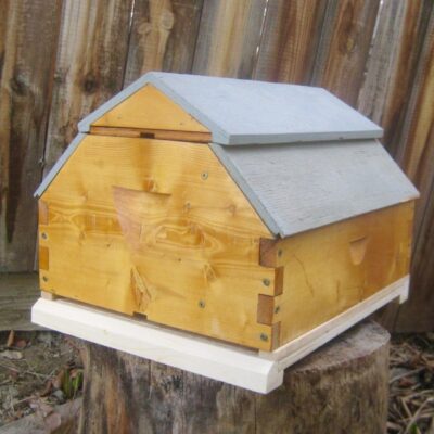 Child case study report image