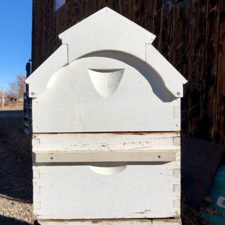 Barn hive with arch front telescoping