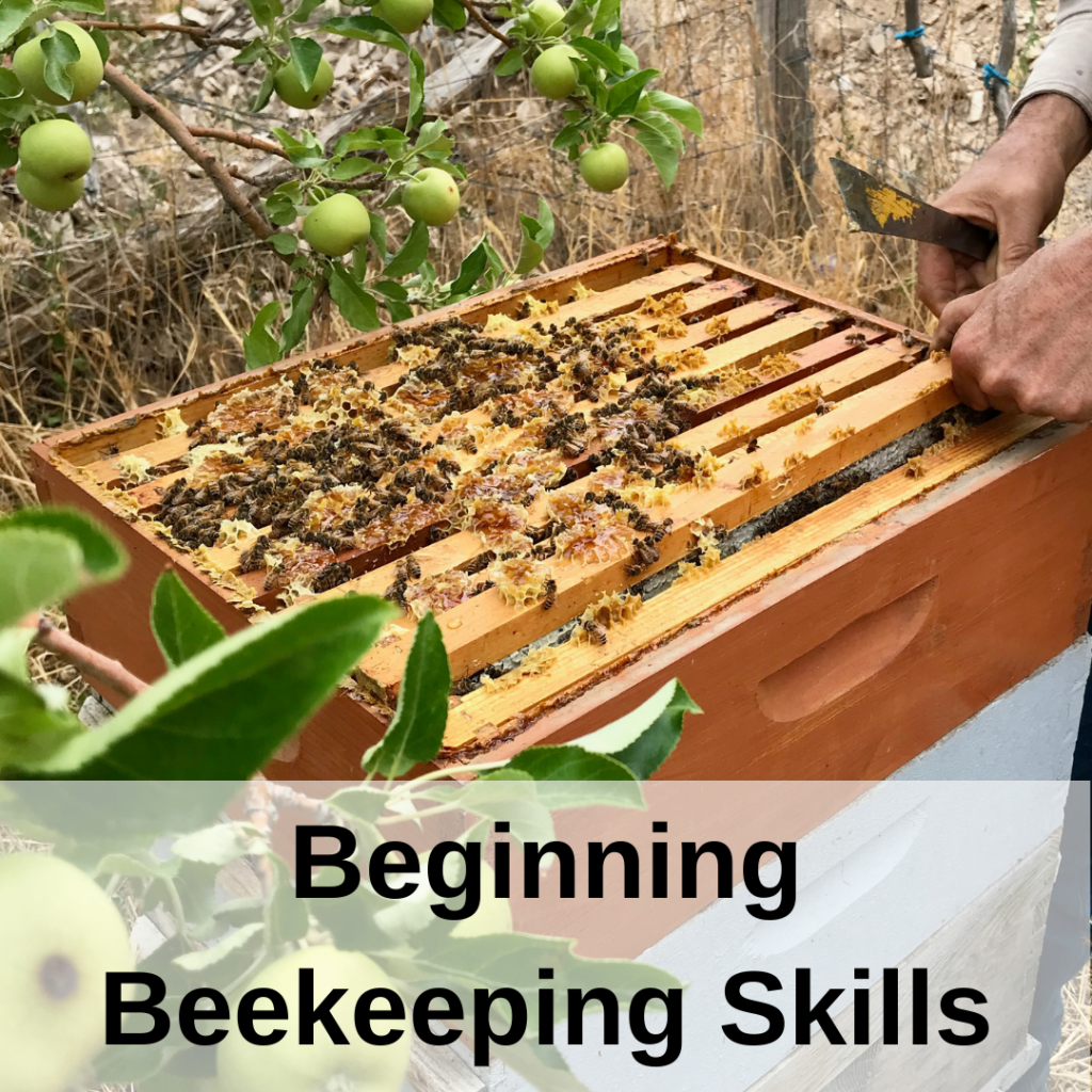 Course 2. Beginning Beekeeping Skills