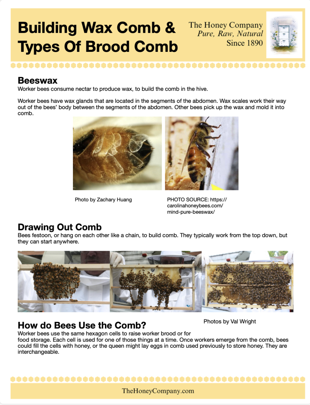 Comb Drawing.pdf Printable Downloads – The Honey Company