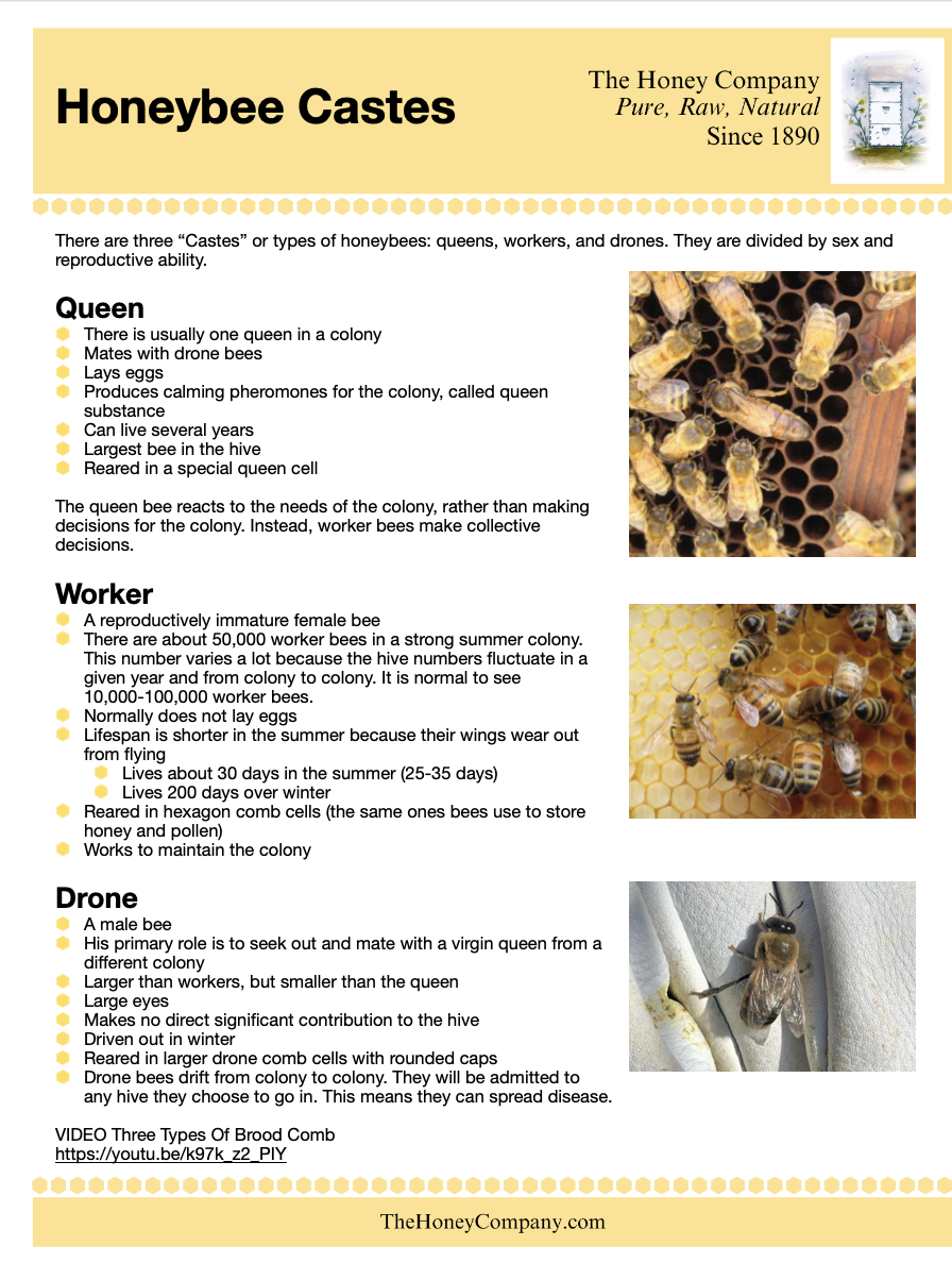 Printable Downloads – The Honey Company