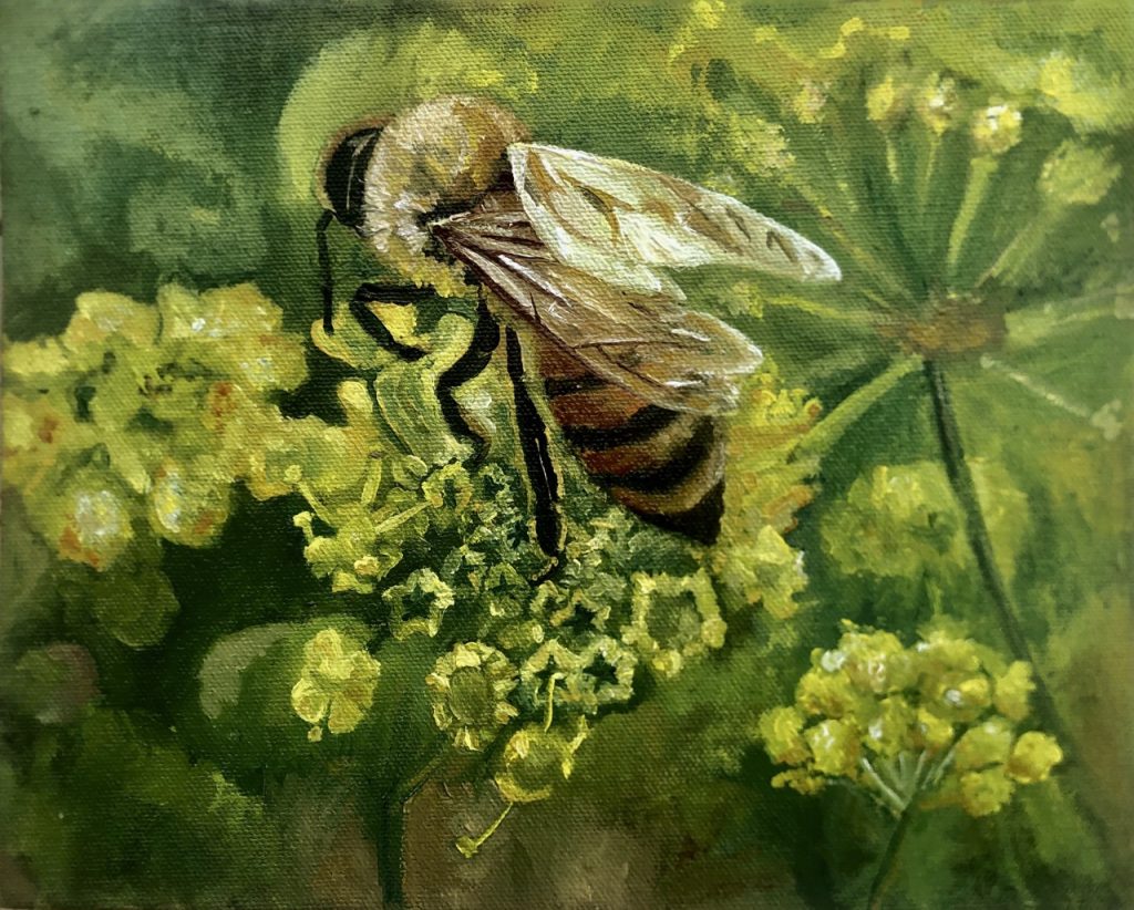Fine Art Prints
